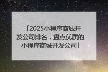 2025小程序商城开发公司排名，盘点优质的小程序商城开发公司