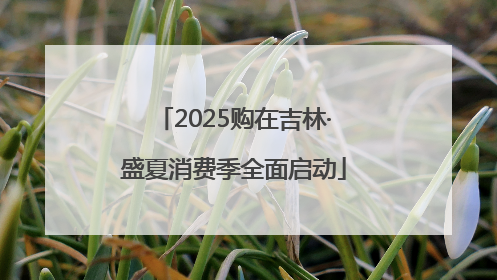 2025购在吉林·盛夏消费季全面启动