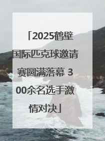 2025鹤壁国际匹克球邀请赛圆满落幕 300余名选手激情对决