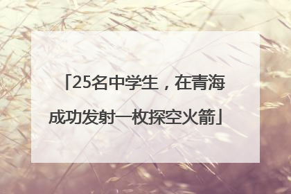 25名中学生，在青海成功发射一枚探空火箭