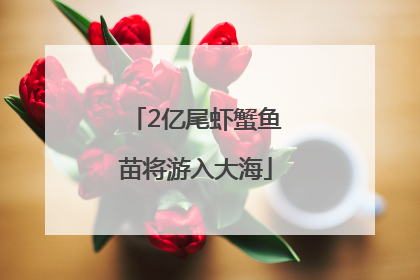 2亿尾虾蟹鱼苗将游入大海