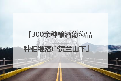 300余种酿酒葡萄品种相继落户贺兰山下