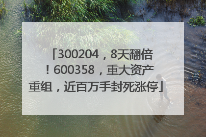 300204，8天翻倍！600358，重大资产重组，近百万手封死涨停