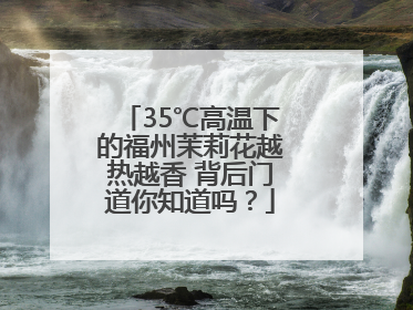 35℃高温下的福州茉莉花越热越香 背后门道你知道吗？