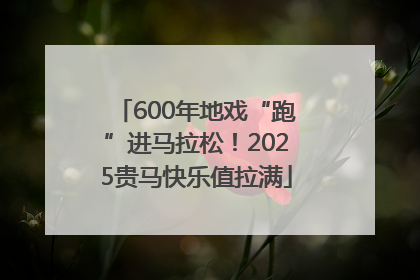 600年地戏“跑”进马拉松！2025贵马快乐值拉满