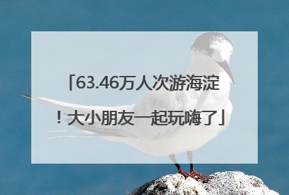 63.46万人次游海淀！大小朋友一起玩嗨了