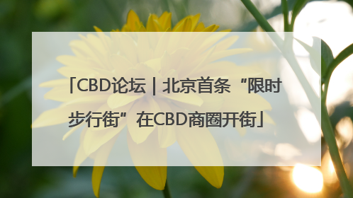CBD论坛｜北京首条“限时步行街”在CBD商圈开街