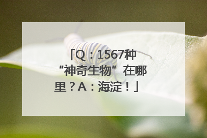 Q：1567种“神奇生物”在哪里？A：海淀！