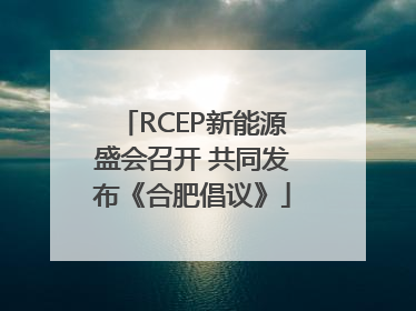 RCEP新能源盛会召开 共同发布《合肥倡议》